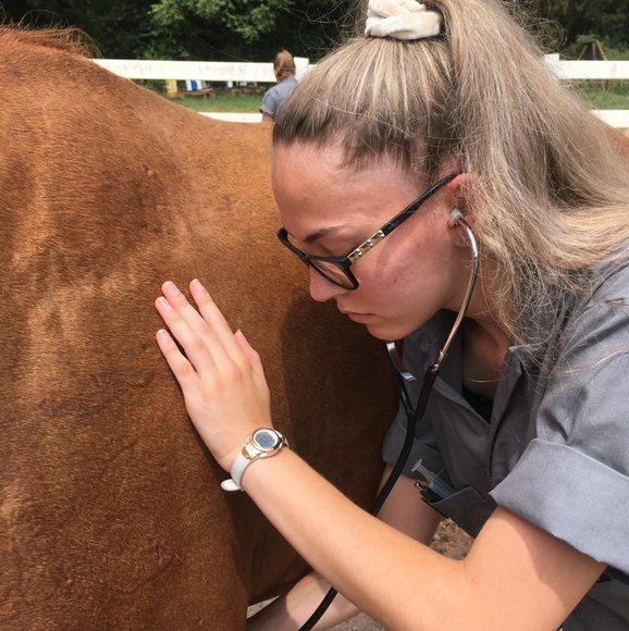 Meet your Posher, Dani! - Picture 6 of 6